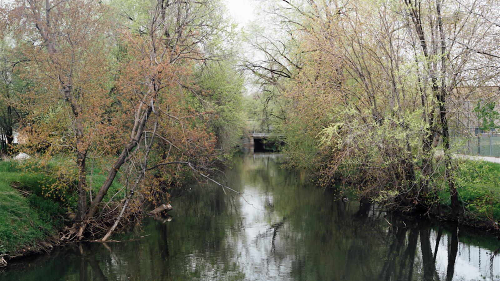 Poplar Grove cityhomeCOLLECTIVE